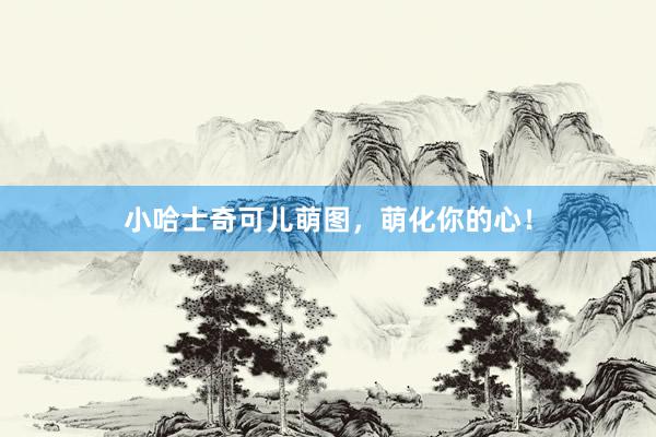 小哈士奇可儿萌图，萌化你的心！